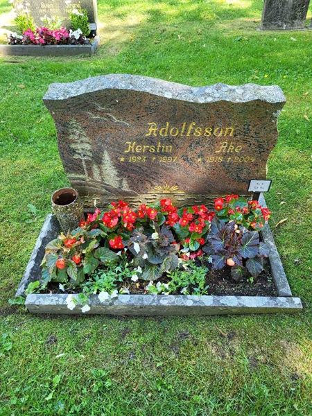 Grave number: Jä 06   113-114