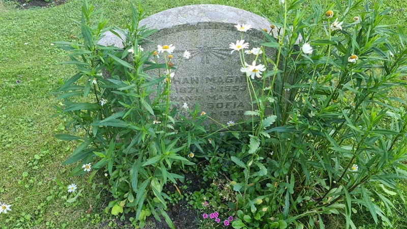 Grave number: M S   54a, 55