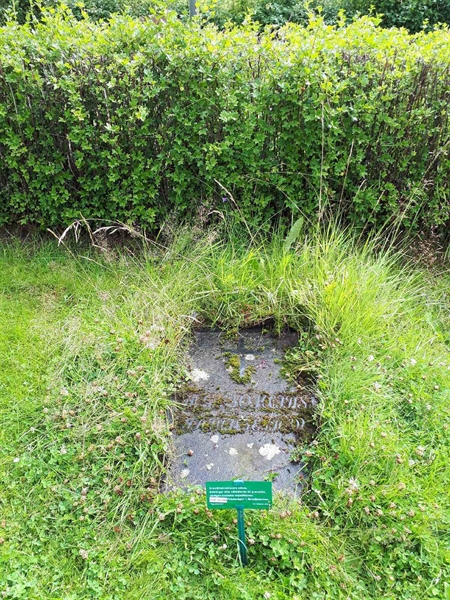 Gravnummer: GK F 5   509