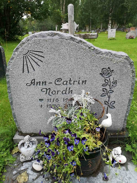 Hautatunnus: NK 17   103