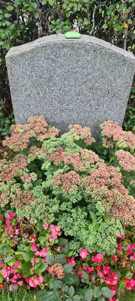 Grave number: M F  121, 122