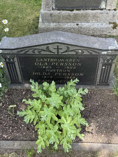 Grave number: FÅ D 161, 162, 163, 164