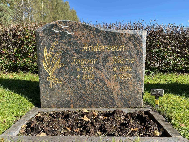 Grave number: 1 22    117