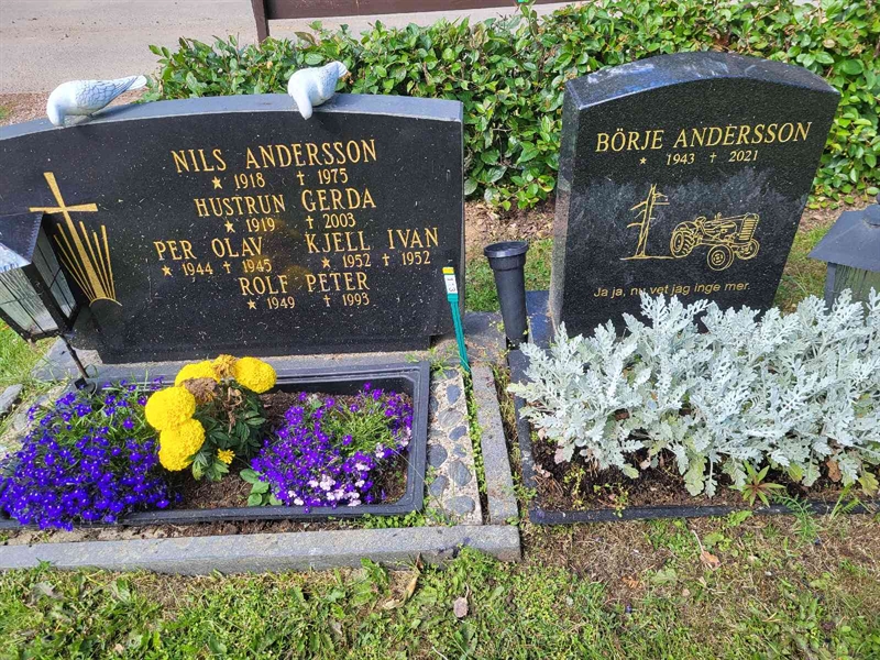 Grave number: 001 1   113