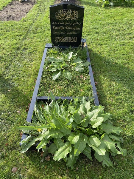 Hautatunnus: 2 G    71