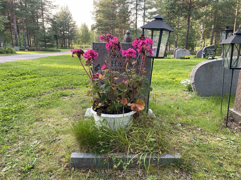 Grave number: 3 17   159