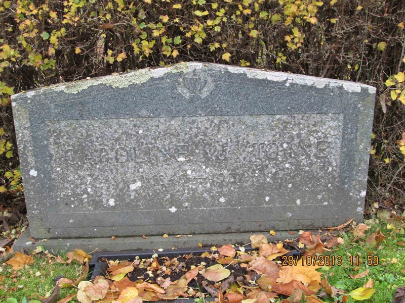 Grave number: TJGL C    88