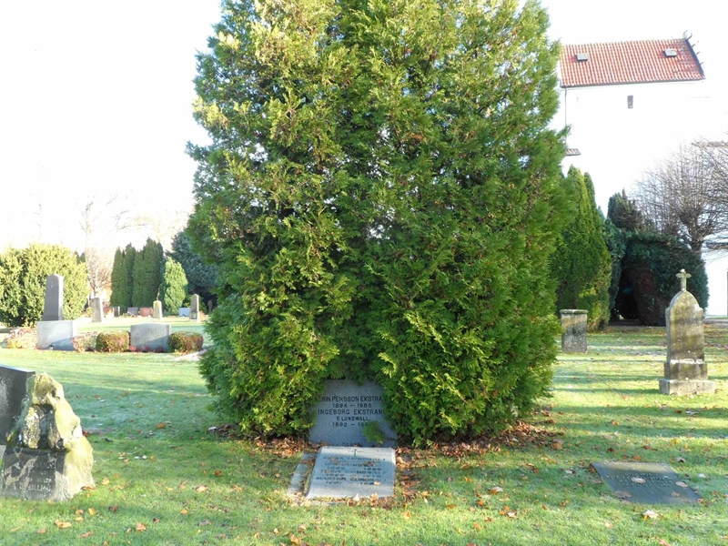 Grave number: 2 01   550