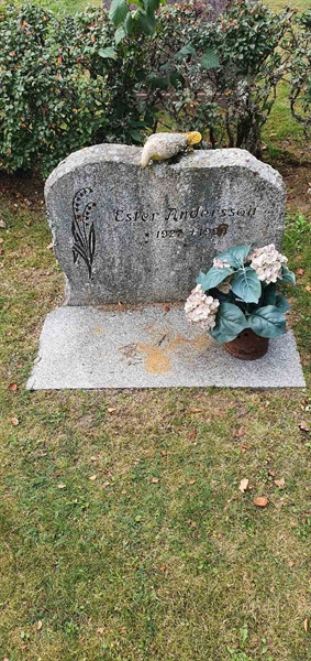 Grave number: N 007  0107