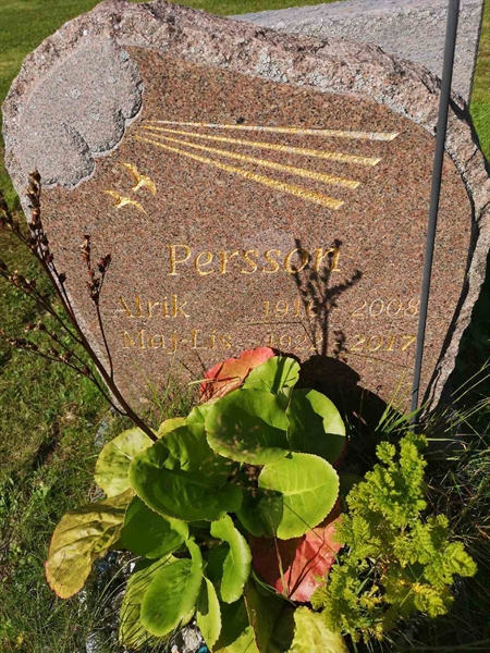 Gravnummer: POK 01     7-8