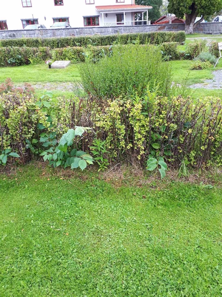 Grave number: NK F G   170