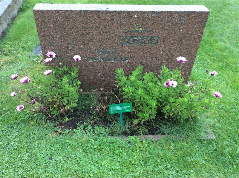 Grave number: KN 01   139