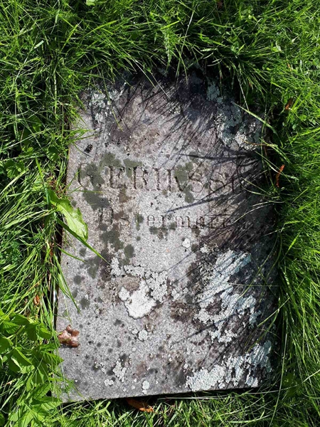 Gravnummer: GK A 4   247V