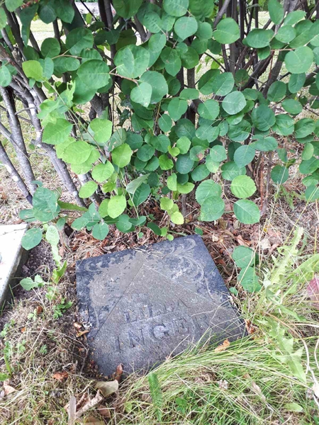 Hautatunnus: GK A 5   209H