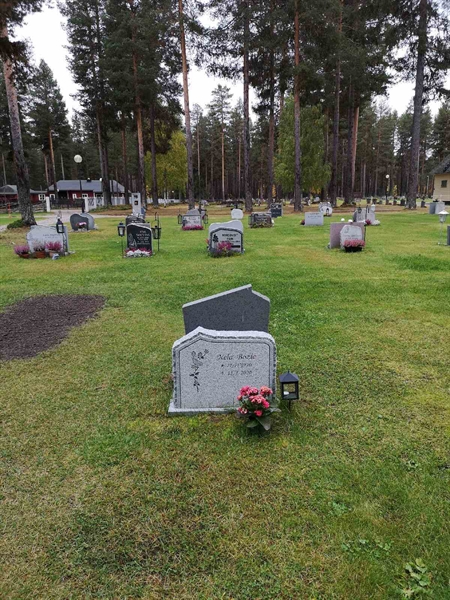 Hautatunnus: VLM 12    75-76