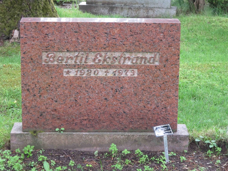 Grave number: HÖB 65    46