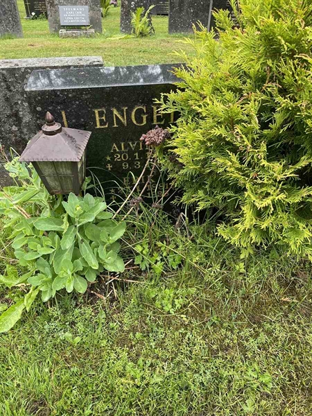 Gravnummer: N 4 4   569