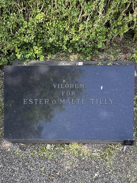 Grave number: FÅ D 55, 56