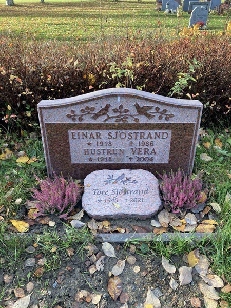 Grave number: 3 2144