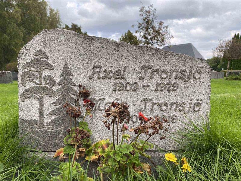 Hautatunnus: 1 19    164, 165