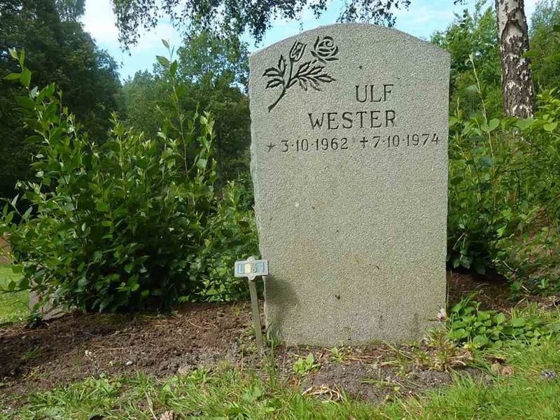 Grave number: 1 L   31