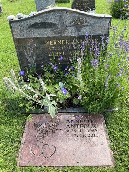 Grave number: 1 15   238