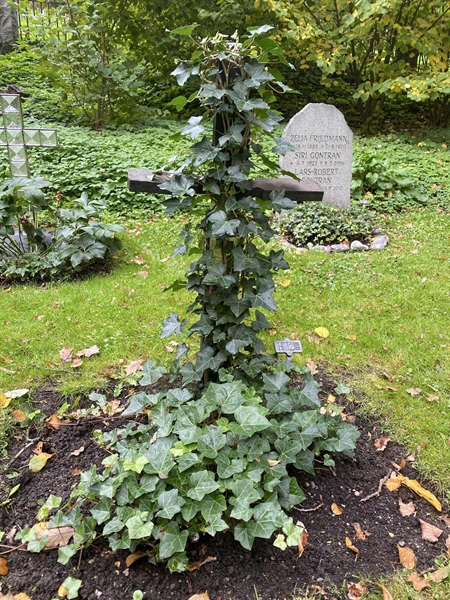 Hautatunnus: 1 H    29