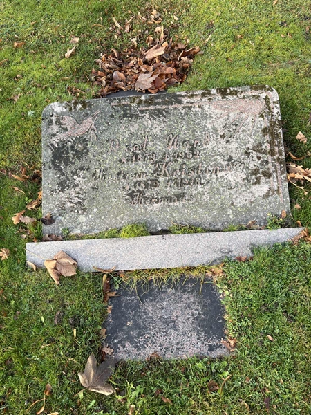 Grave number: Ärt 04 05    66