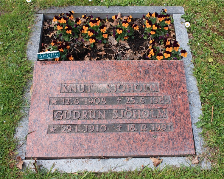 Grave number: Ö 46    85