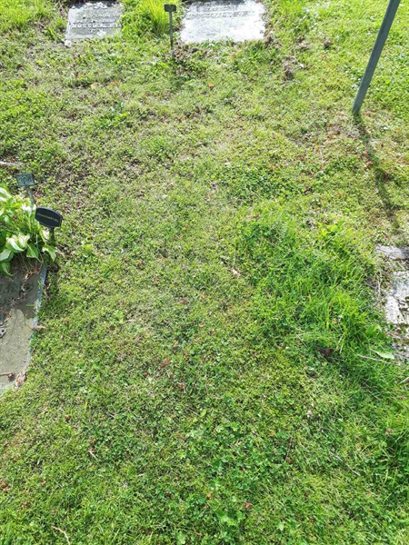 Grave number: NK A A   207