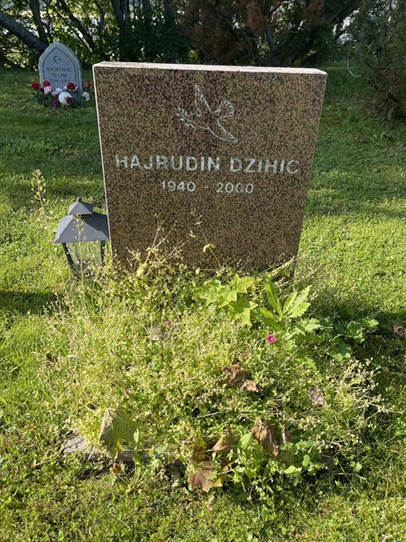 Grave number: 2 06     9