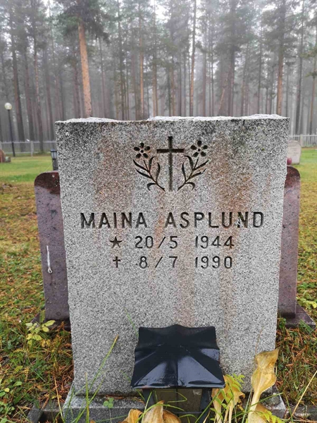 Hautatunnus: VLM 14    51-52