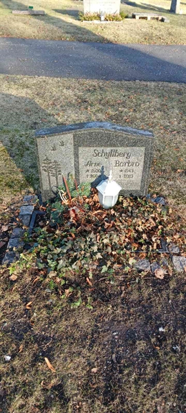 Hautatunnus: 3 Nya E   189-190