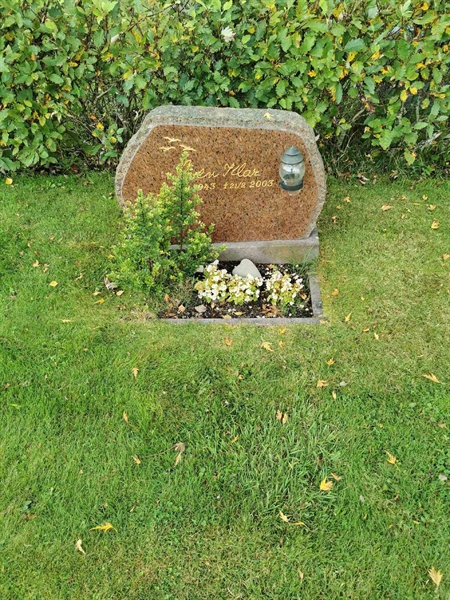 Grave number: F NYA  1660