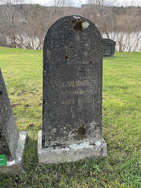 Hautatunnus: Vårv Kv1 56