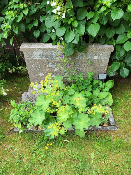 Grave number: Jä 01    77