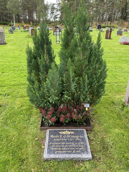 Hautatunnus: 2 C   542