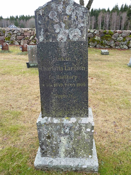 Grave number: SG 3   45