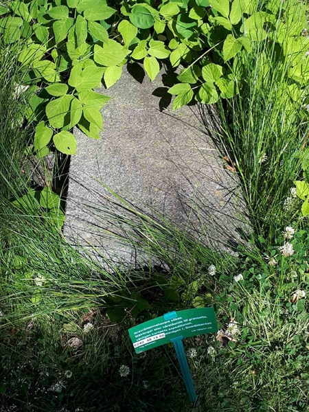 Grave number: GK A 5   139H