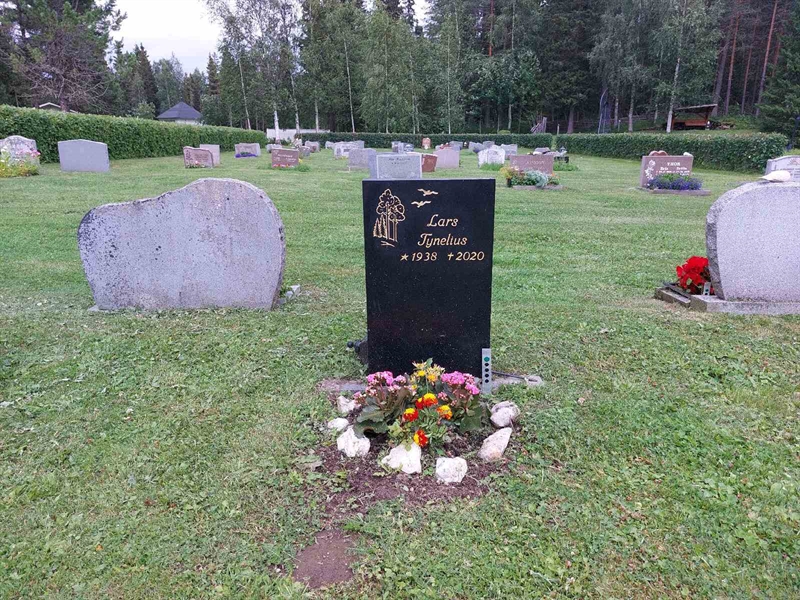 Grave number: FÖ 2    99