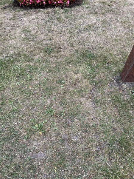 Grave number: NK XX:u   353