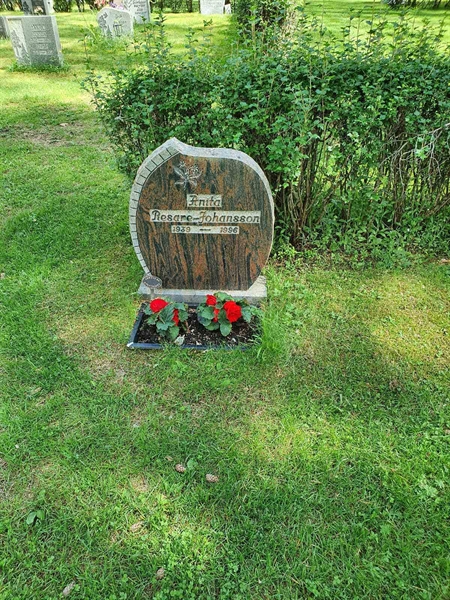Grave number: 1 KV.8   242