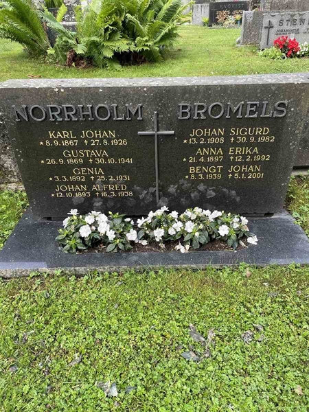 Gravnummer: N 4 3   363