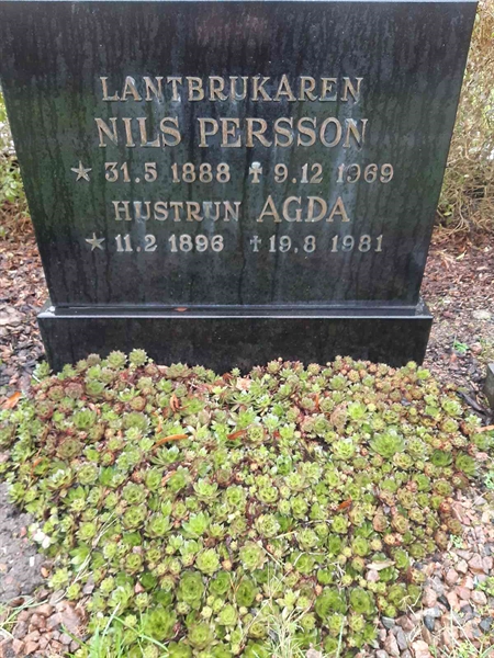 Grave number: NS U      5