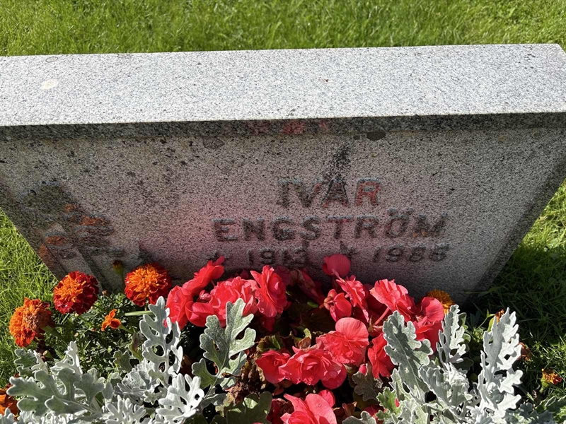 Grave number: SÄ NYA   192