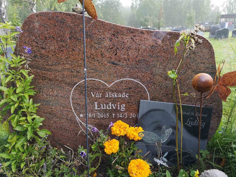 Hautatunnus: NK 20   107-109