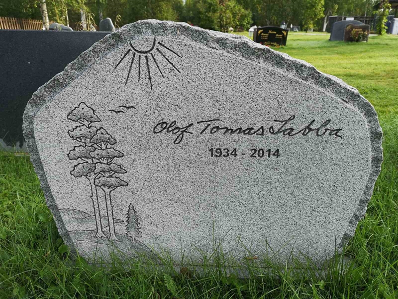 Hautatunnus: NK 20    67-68