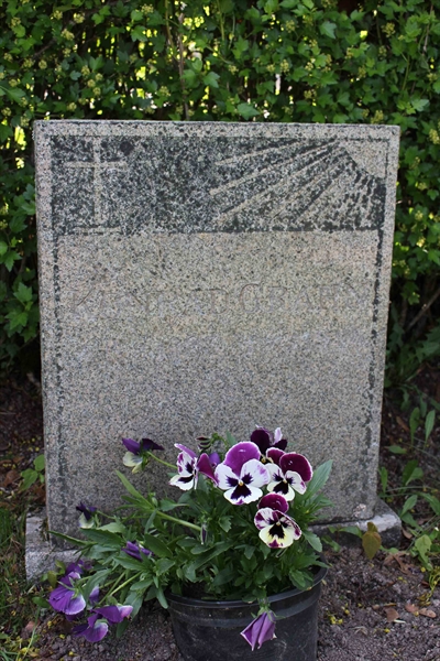 Grave number: A N  584