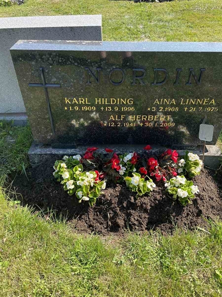 Gravnummer: N 5 1    76