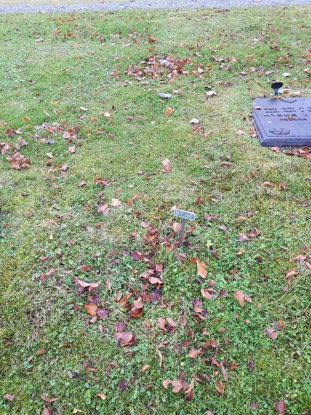 Hautatunnus: GK U 1    48